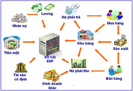 triển khai erp